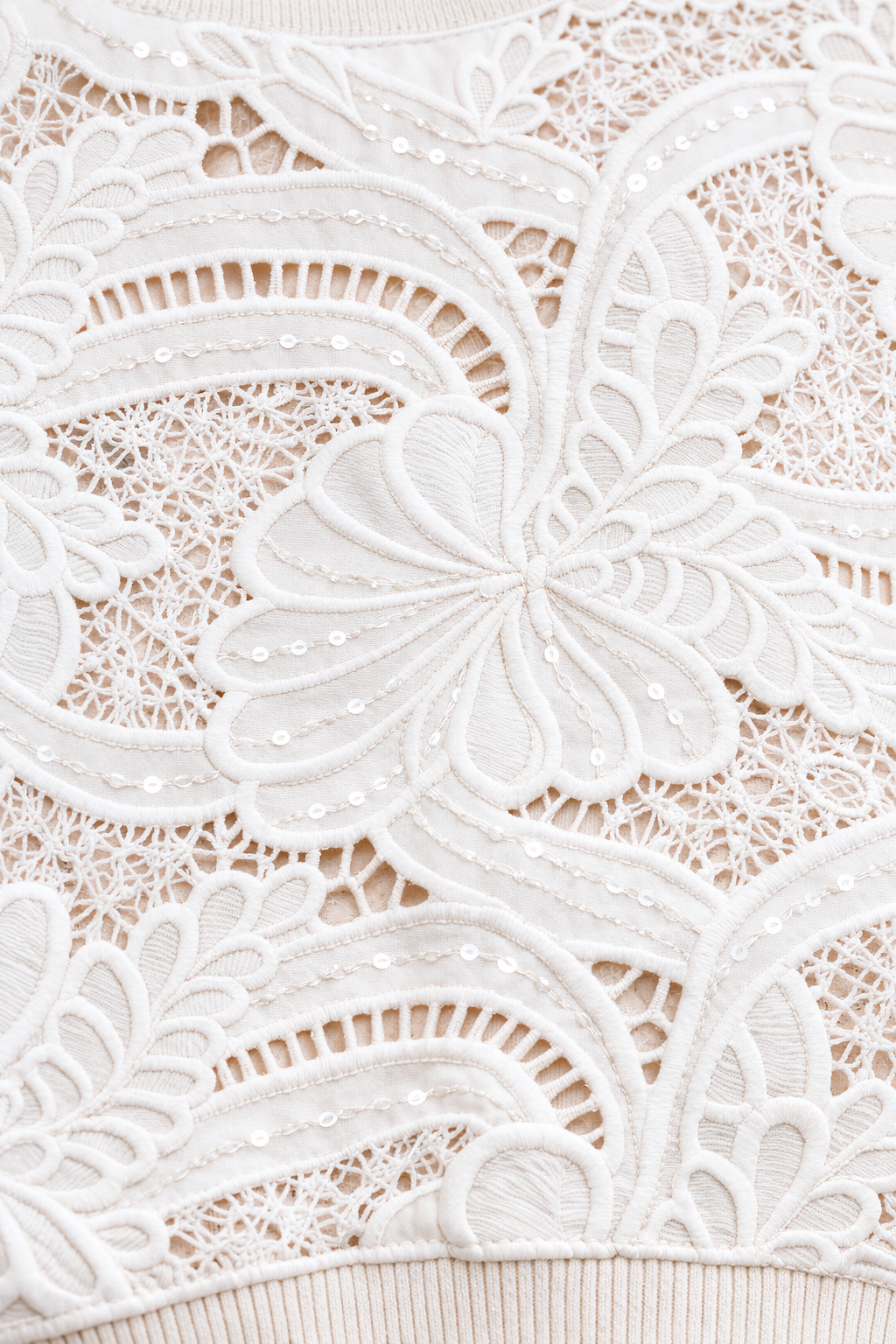 Cream Lace Sequin Jumper