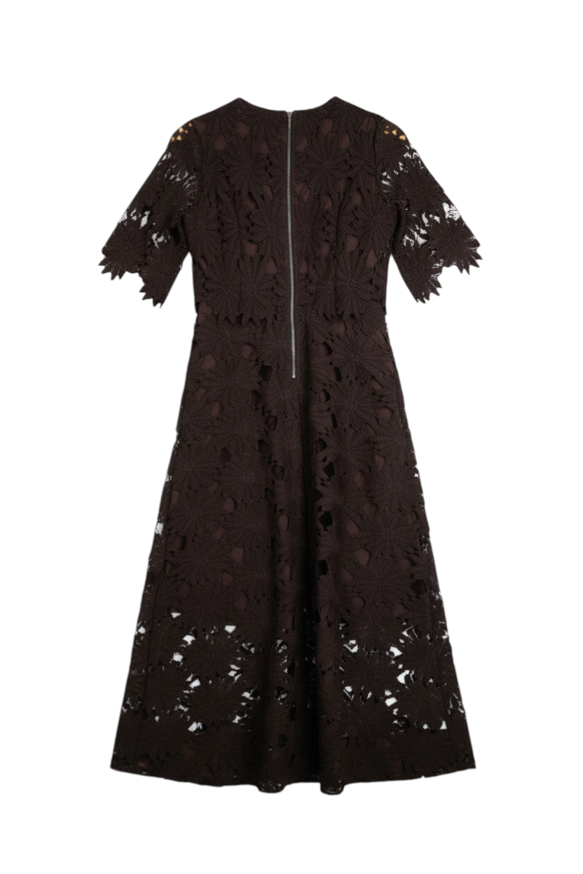 Black lace dress on a white background