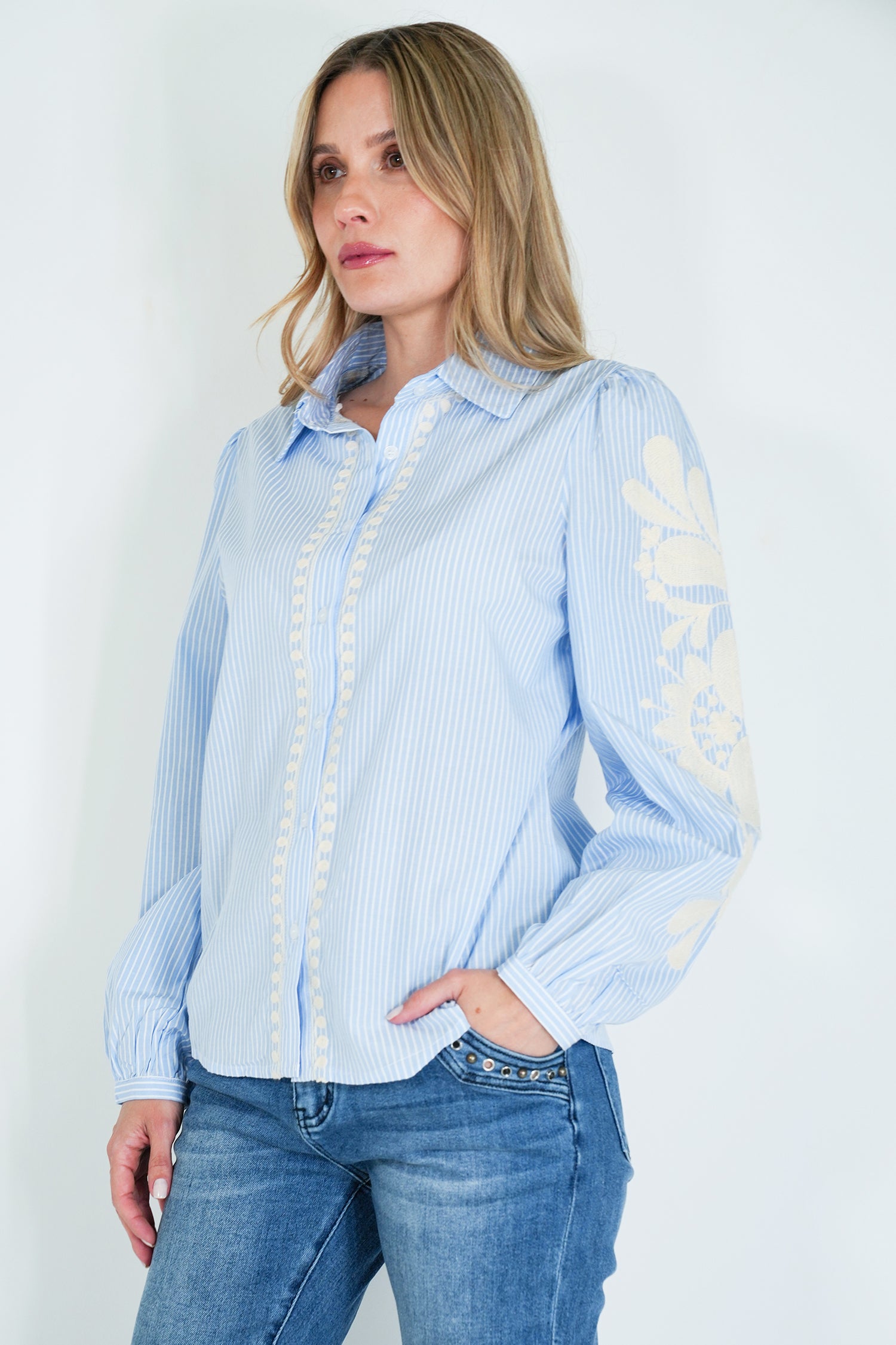 Blue Striped Embroidered Shirt